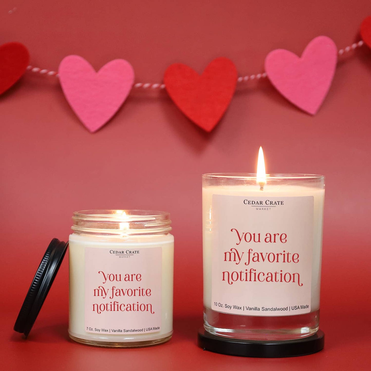 You Are My Favorite Notification | Funny Candles