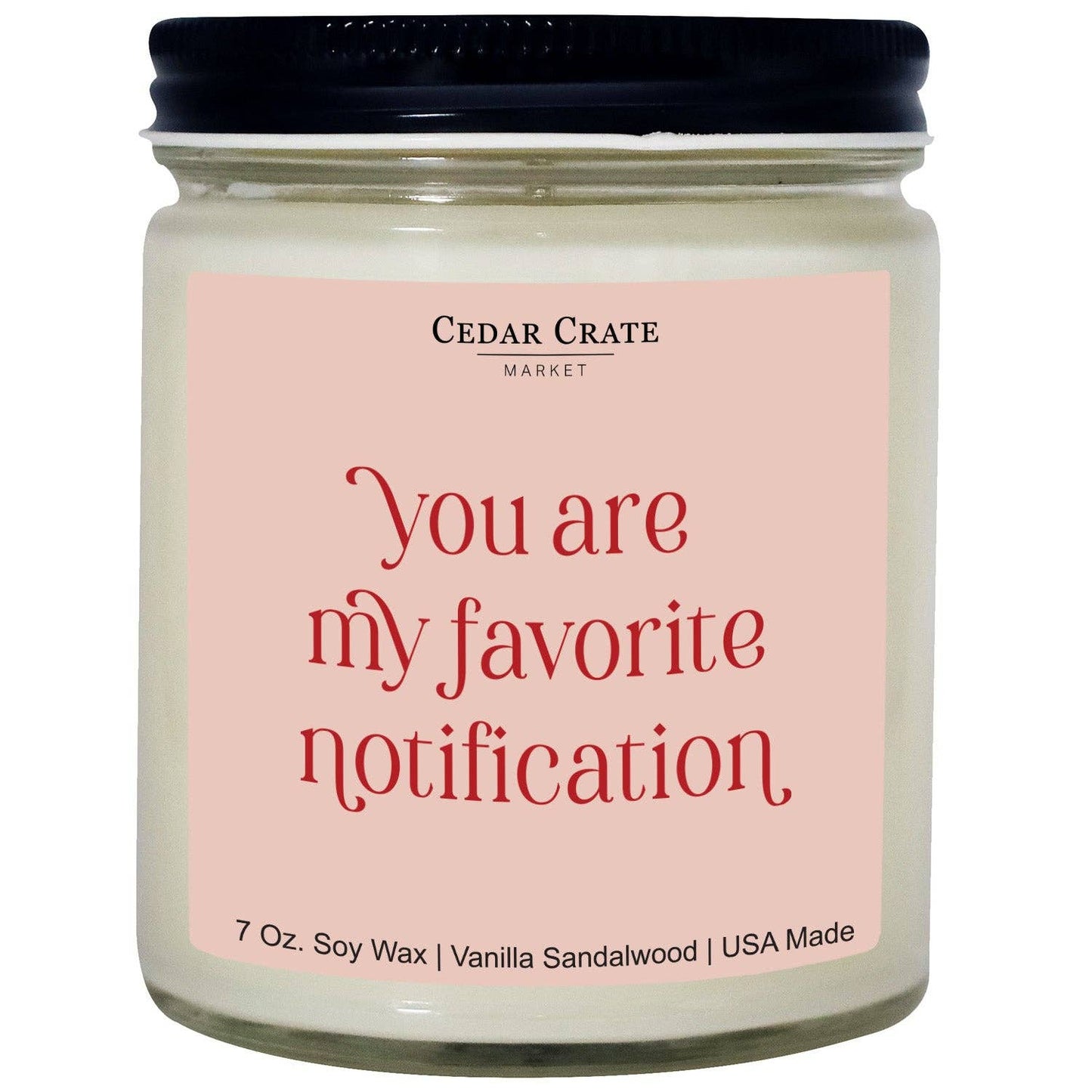 You Are My Favorite Notification | Funny Candles