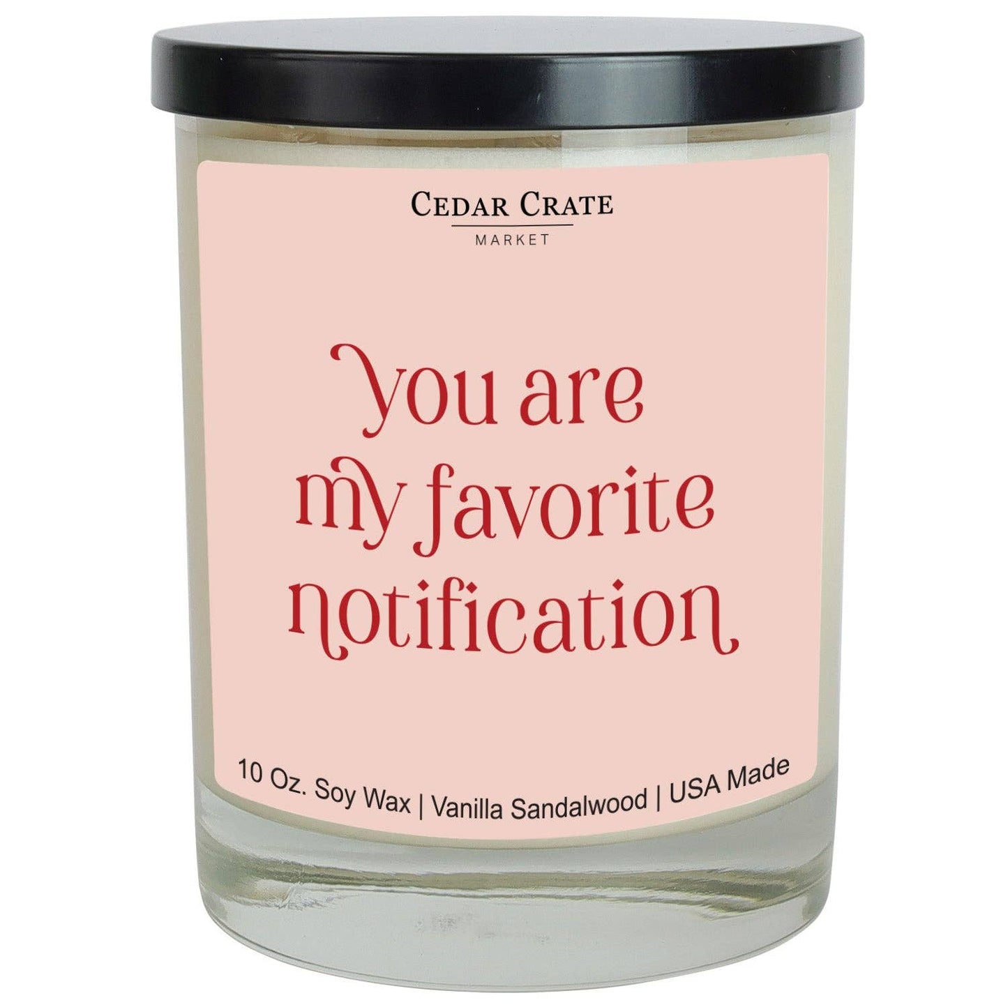 You Are My Favorite Notification | Funny Candles