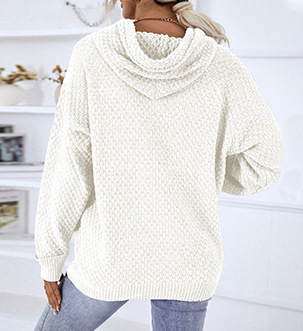 Pullover Casual Hooded Sweater