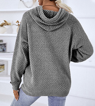Pullover Casual Hooded Sweater