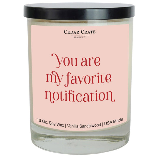 You Are My Favorite Notification | Funny Candles
