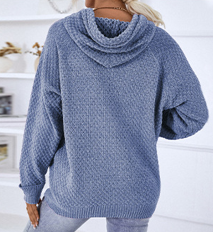 Pullover Casual Hooded Sweater
